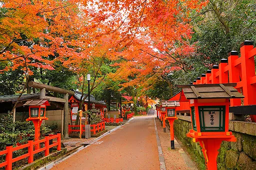 八坂神社の写真 3