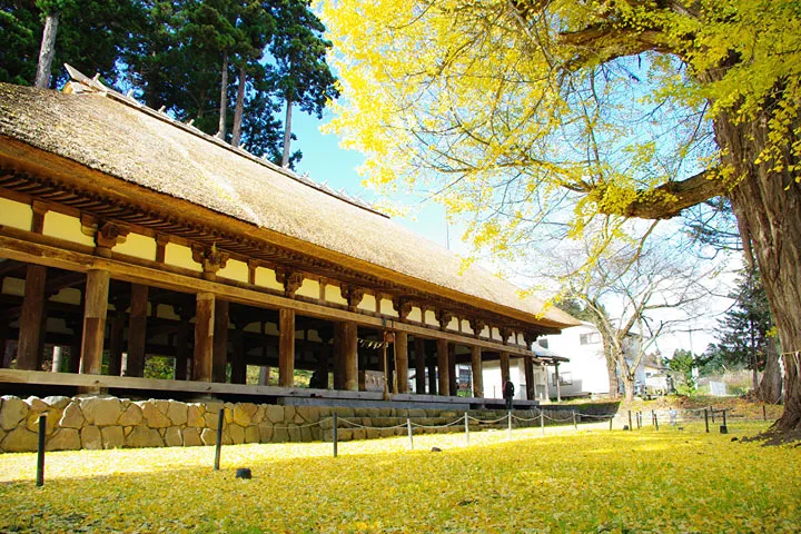 新宮熊野神社の写真 3
