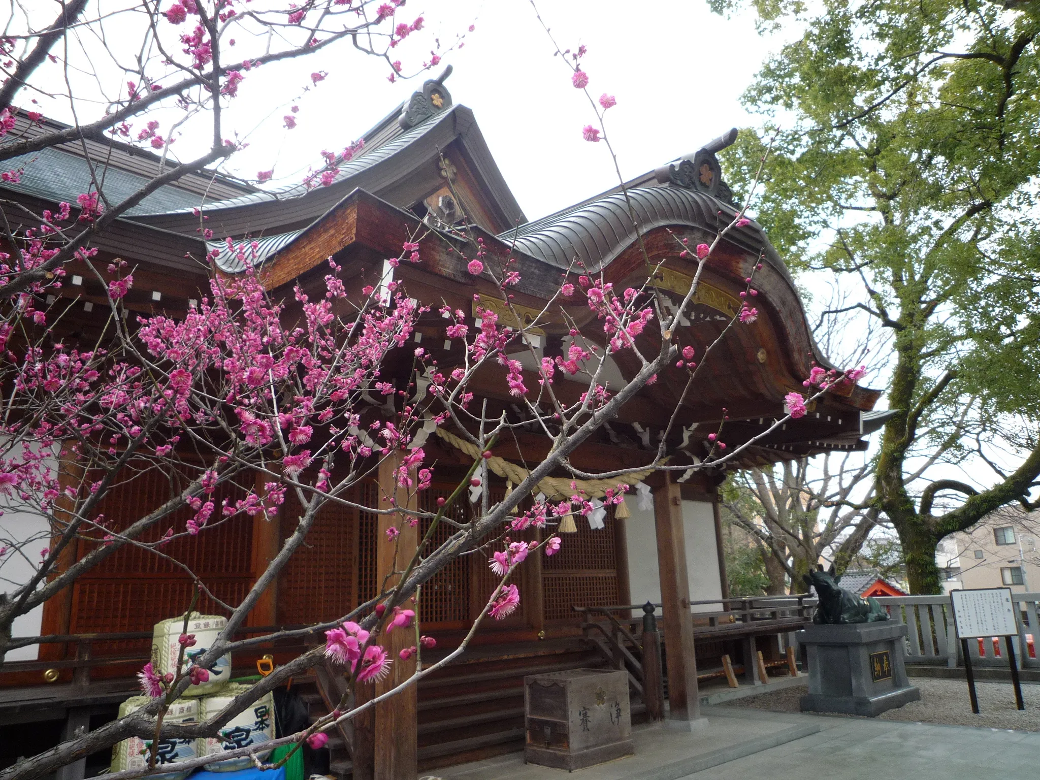 加納天満宮の写真 3