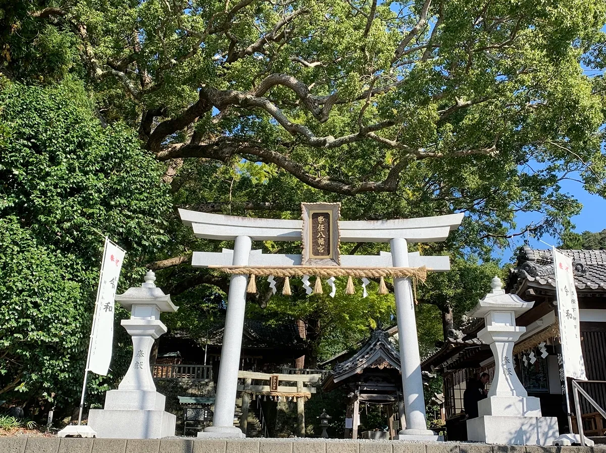 事任八幡宮の写真