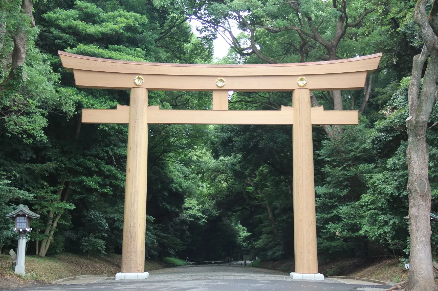 明治神宮の写真